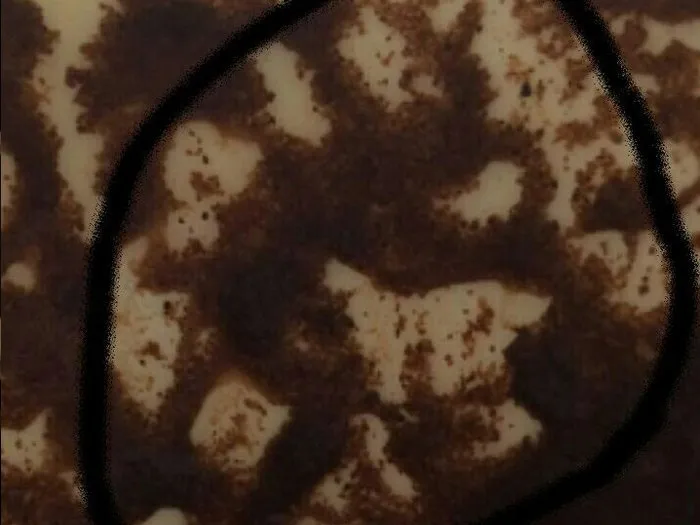 Запись на прием к гадалке в Зеленодольске